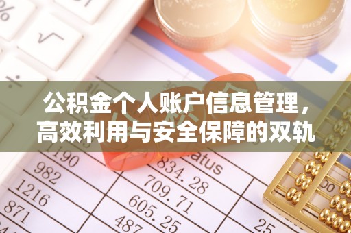 西乡塘公积金个人账户信息管理，高效利用与安全保障的双轨并行