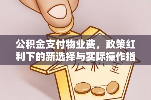 西乡塘公积金支付物业费，政策红利下的新选择与实际操作指南