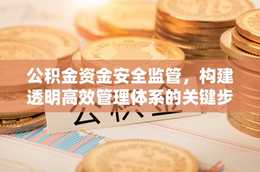 西乡塘公积金资金安全监管，构建透明高效管理体系的关键步骤