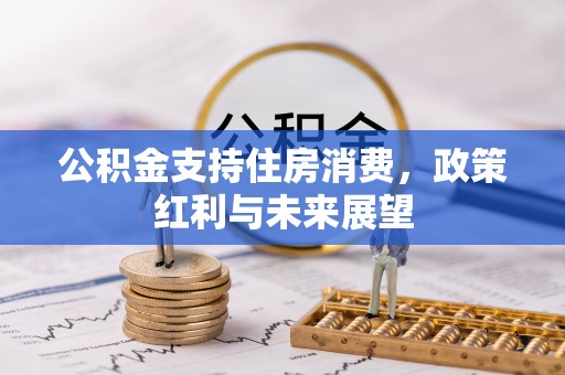 西乡塘公积金支持住房消费，政策红利与未来展望