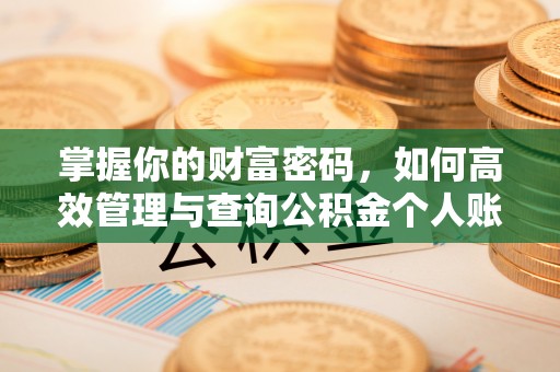 西乡塘掌握你的财富密码，如何高效管理与查询公积金个人账户信息