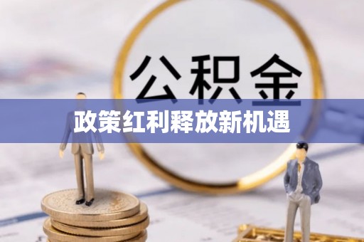 西乡塘政策红利释放新机遇