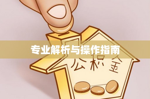 西乡塘专业解析与操作指南