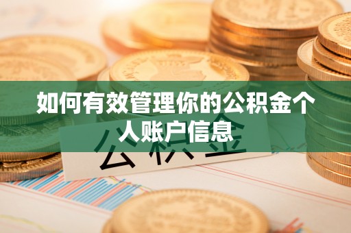 西乡塘如何有效管理你的公积金个人账户信息