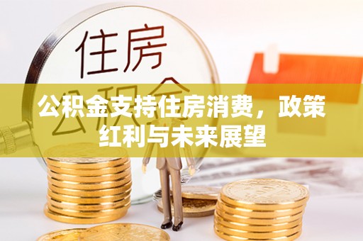 西乡塘公积金支持住房消费，政策红利与未来展望
