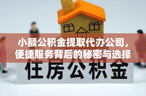 西乡塘小额公积金提取代办公司，便捷服务背后的秘密与选择指南
