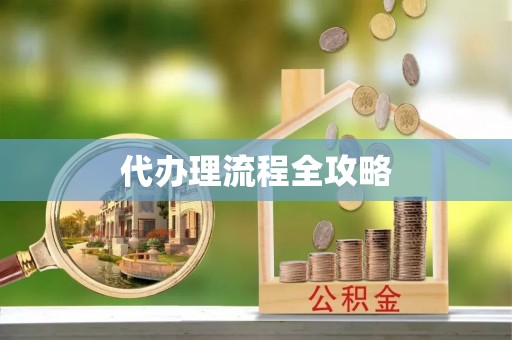 西乡塘代办理流程全攻略