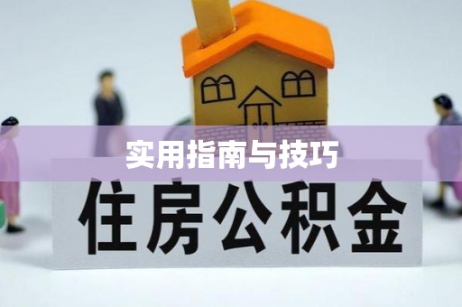 西乡塘实用指南与技巧