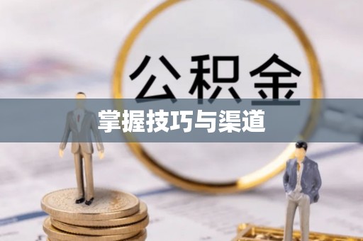 西乡塘掌握技巧与渠道