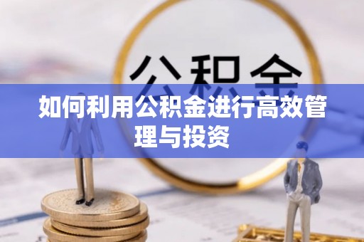 西乡塘如何利用公积金进行高效管理与投资