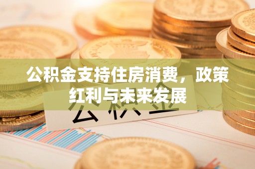 西乡塘公积金支持住房消费，政策红利与未来发展