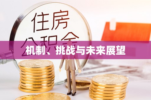 西乡塘机制、挑战与未来展望