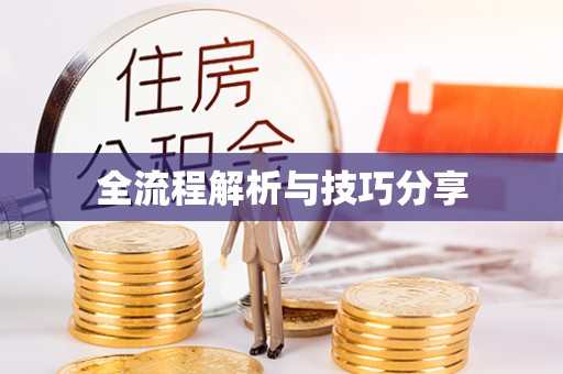 西乡塘全流程解析与技巧分享