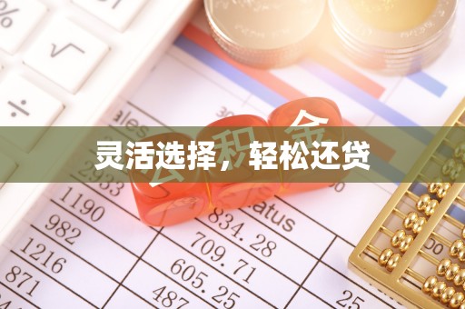 西乡塘灵活选择，轻松还贷